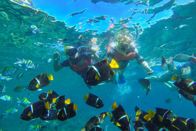 Marietas Islands Eco Discovery With Open Bar and Lunch - Guest Feedback Highlights