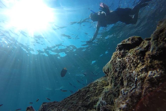 Marietas Islands Snorkeling Tour - Accessibility and Transportation