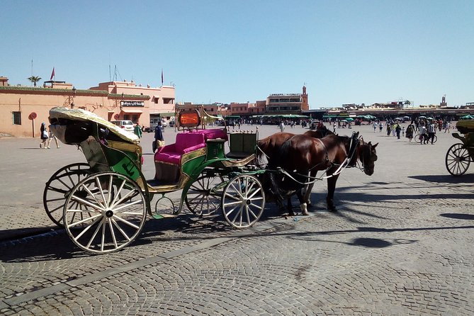 Marrakech Sightseeing Tour With Driver - Reviews From Travelers