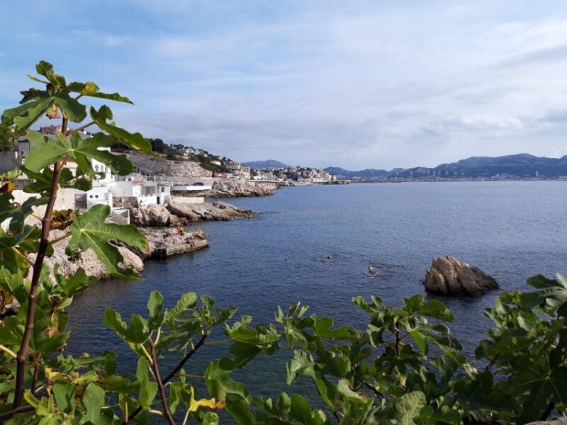 Marseille: Urban Coves Tour and Treasure Hunt - Customer Feedback