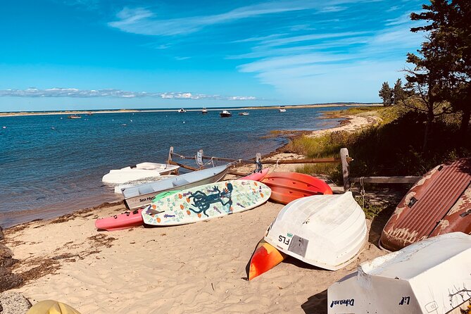 Marthas Vineyard Luxury Tour (2hrs) - Traveler Experiences