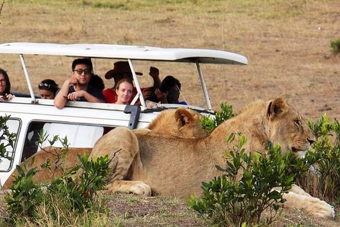 Masai Mara Game Reserve Safari Tour, 4 Days 3 Nights - Frequently Asked Questions