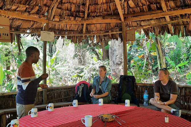 Materuni Waterfalls and Coffee Tour - Customer Experiences