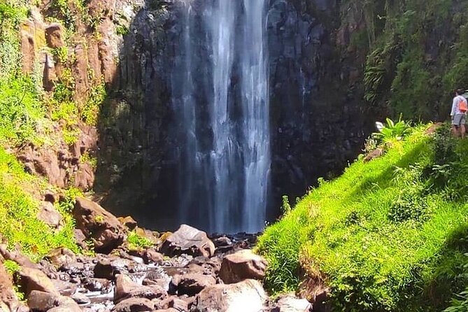 Materuni Waterfalls, Kikuletwa Chemka Hot Springs, Coffee Tour - Inclusions and Amenities