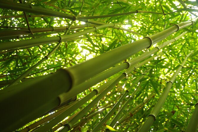 Maui Part-Way to Hana North Shore Sightseeing & Photography Tour! - Photography Opportunities and Tips