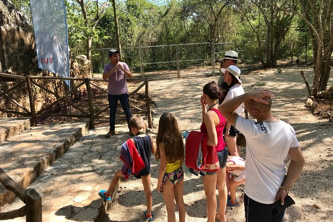 Mayan Underworld Experience (Cenote-Museum) - Traveler Experiences