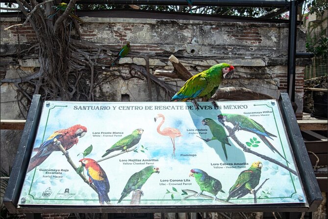 Mazatlan City Tour and Observatory - Tour Location and Accessibility