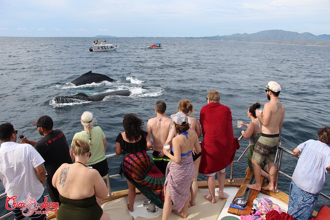 Mega Yacht Whale Watching ALL-Inclusive Daytime Adventure. - Positive Guest Feedback