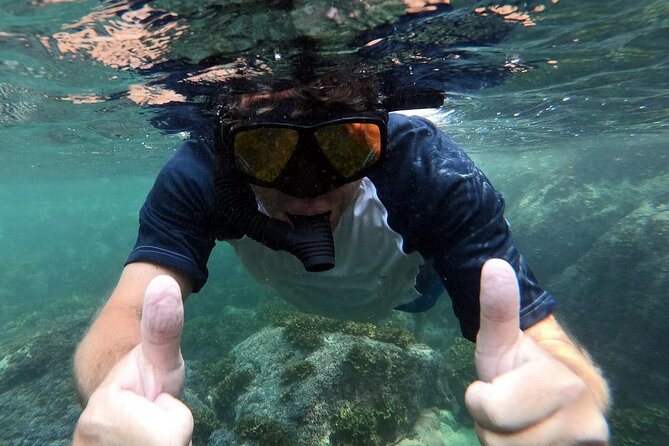Mismaloya Snorkeling Tour 1Hr Private - Recommended for Whom