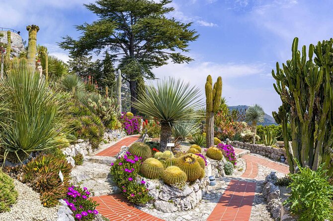 Monaco, Monte Carlo & Eze Private Tour - Capturing Scenic Moments