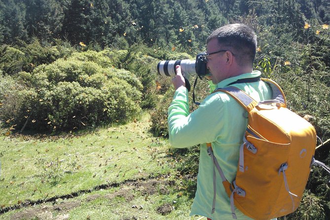 Monarch Butterfly Private Tour (Morelia) - Traveler Testimonials