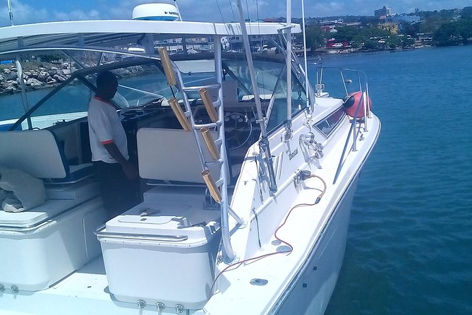 Montego Bay Shore Excursion: Private Snorkel Tour - Exploring Montego Bays Vibrant Underwater World