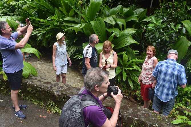 Montreal Garden , Belmont Look Out and Rawacou Recreation Park From IV TOURS - Review Highlights