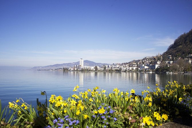 Montreux - Private Tour With a Visit to Chillon Castle - Accessibility Information