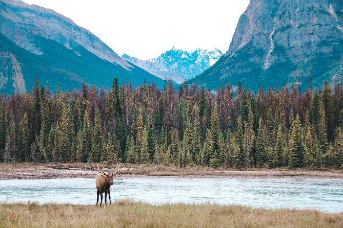 Moraine Lake, Lake Louise & Banff Secrets | Award-Winning Tour - Important Information