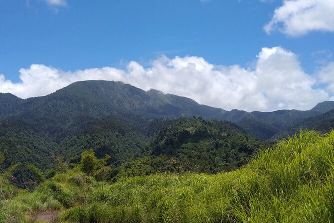 Morne Daiblotin Mountain Climb -Dominicas Tallest - Traveler Reviews and Feedback