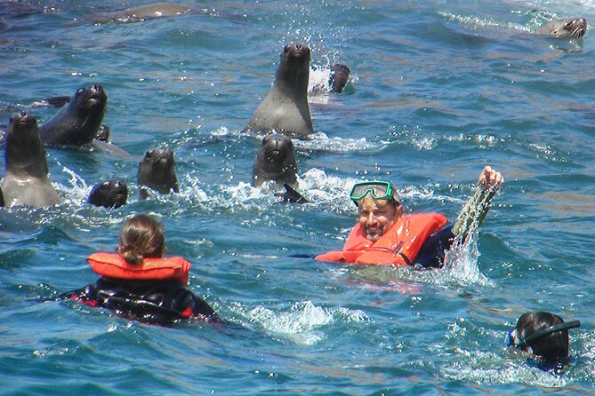 Morning: Palomino Island Tour - Highlights of the Experience