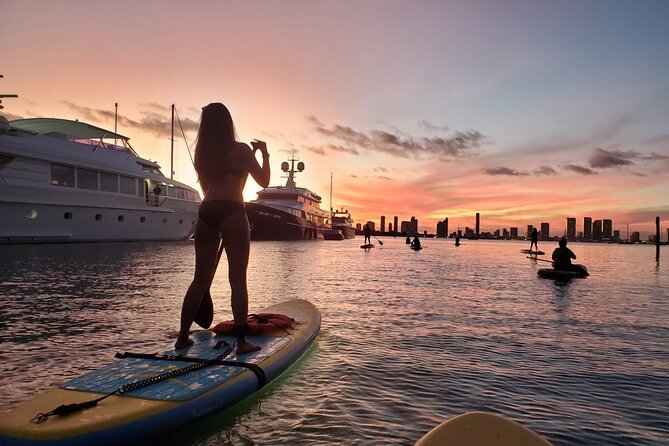 MORNING TOUR Paddleboard or Kayak - Skill Level Recommendations