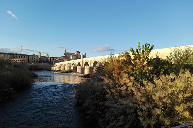 Mosque, Alcazar and Juderia Ticket Included Skip the Line - Traveler Reviews and Experiences