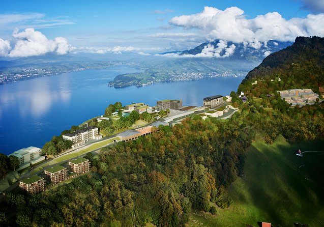 Mount Bürgenstock Independent Tour From Lucerne - Transportation Options