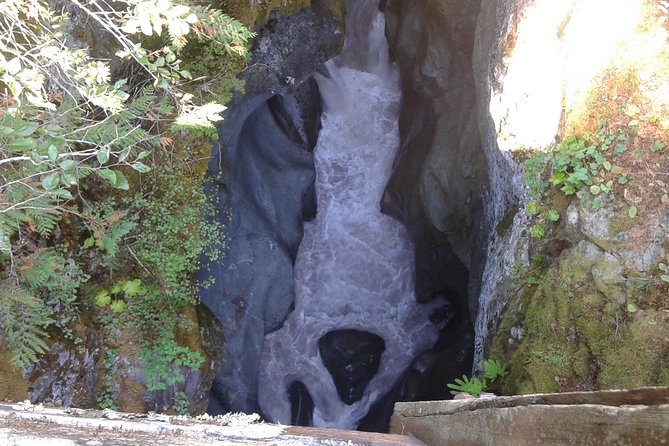 Mount Rainier Tour From Seattle - Stunning Landscapes