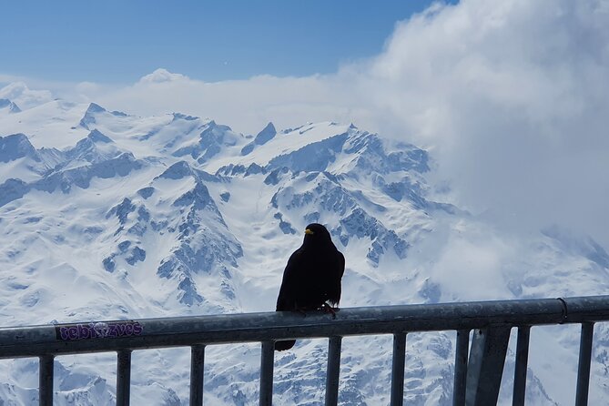 Mount Titlis Train Ticket and Self-Guided Tour From Luzern - Positive Traveler Feedback