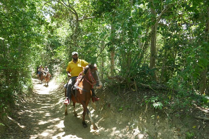 Mountain Horse Back Riding - Guide Expertise and Safety