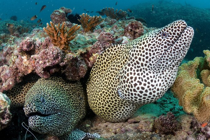 Muscat Scuba Diving Trip to Daymaniyat Islands - Meeting at the Diving Center