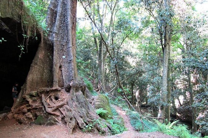 Nairobi Day Tour to Karura Forest Hike, Trail Bike & Nature Walk - Traveler Reviews and Feedback