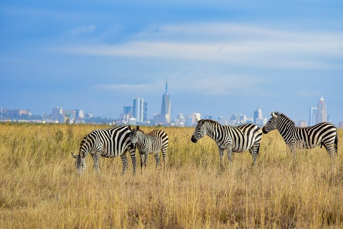 Nairobi National Park Early Morning or Afternoon Game Drive - Guest Feedback and Recommendations