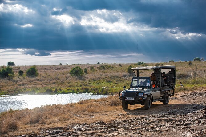 Nairobi National Park Game Drive - Open Jeep Experience. - Traveler Reviews