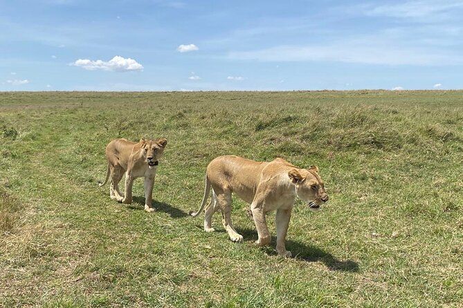 Nairobi National Park Group Shared Tour - Cancellation Policy