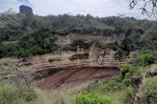 Nairobi National Park Group Tour - Park Highlights and Experiences