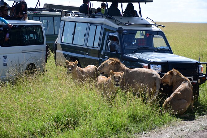 Nairobi National Park Shared Tour - Tips for a Great Tour