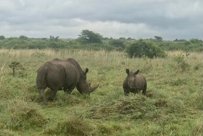 Nairobi National Park Tour - Wildlife and Attractions