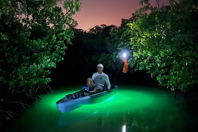 Naples Guided Sunset Kayak Tour Activity - Customer Feedback and Ratings