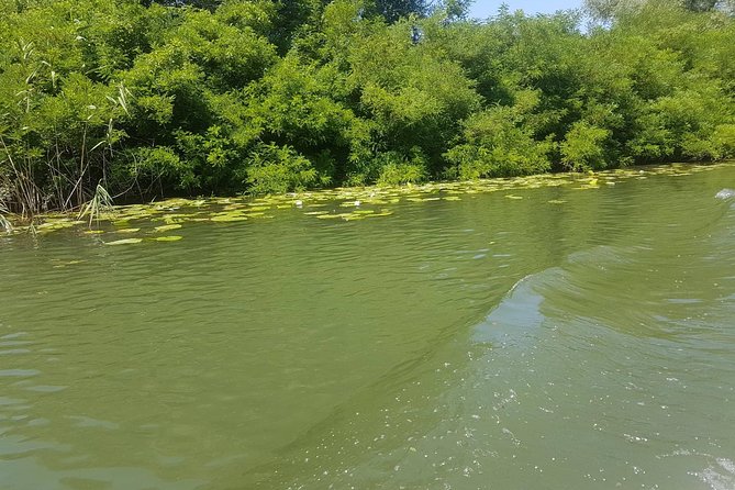 National Park Skadar Lake (Private Tour) - Itinerary Customization Options