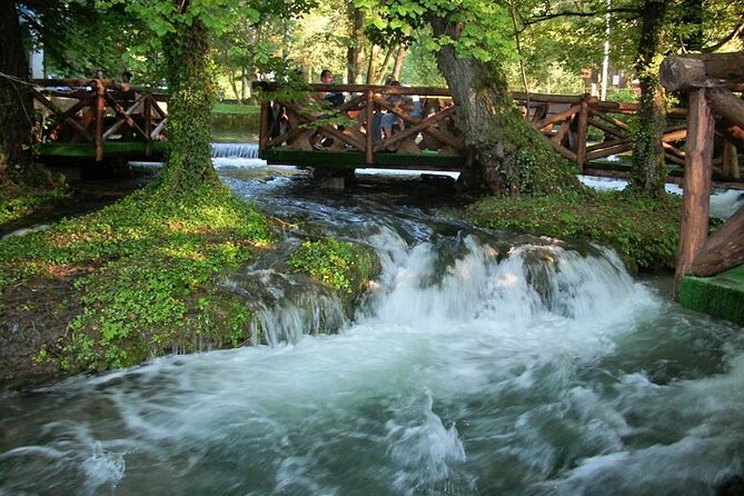 National Park Tara: House on Drina River, Banjska Stena View Point & Wooden Town - Pickup and Transportation Details