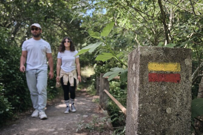 Nature Walks in Marvão: A Review - Participant Considerations