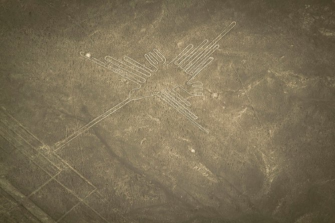 Nazca Lines Overflight Tour From Nazca - Panoramic Views of the Nazca Lines