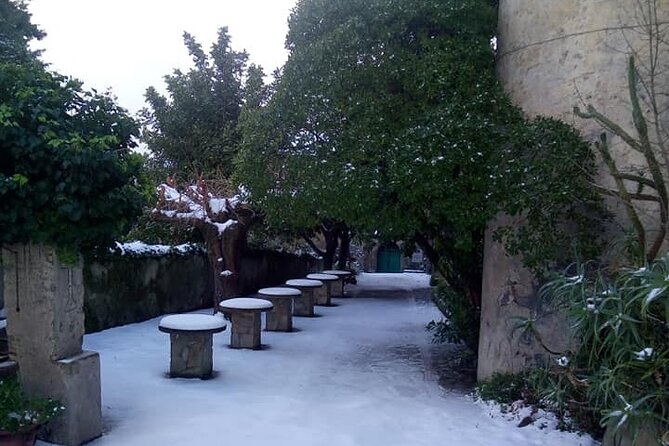 Nebrodi Medieval Day – Castle and Convent Tour (Private Experience) - Accessibility and Tour Details