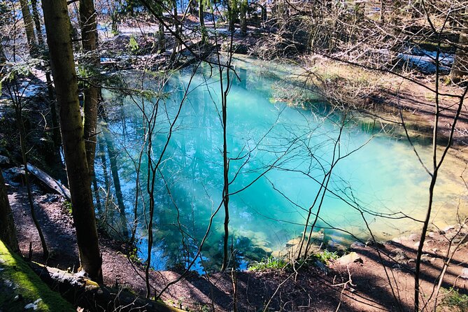 Nera Gorge National Park - Private Day Tour From Timisoara - Tour Duration and Group Type