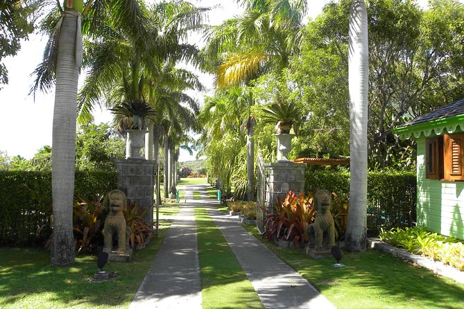 Nevis Full-Day Island Tour From St Kitts via Ferry (Reconfirm 48 Hours) - Exploring Botanical Gardens