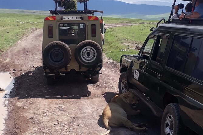 Ngorongoro Crater Day Trip - Tips for Your Visit
