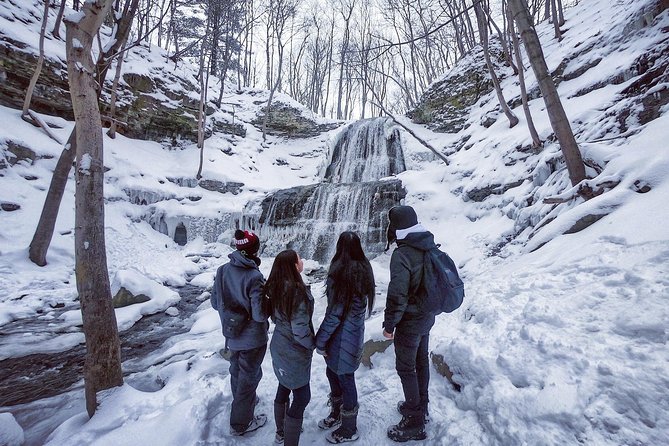Niagara Waterfall Adventure - Exploring the Niagara Escarpment