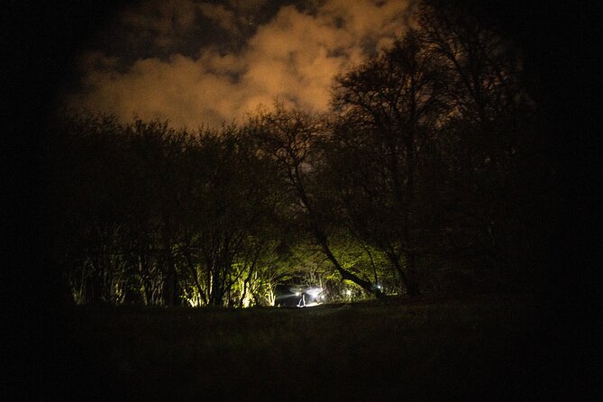 Night Tour in Hoia Baciu Forest - Participants Experiences and Recommendations
