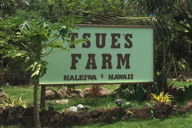 North Shore Private Tour - Health Guidelines
