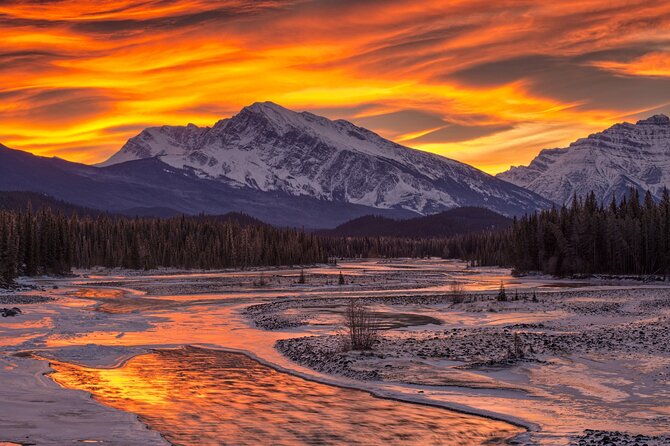 Northern Lights Alaska 6 Day Tour - Booking Information