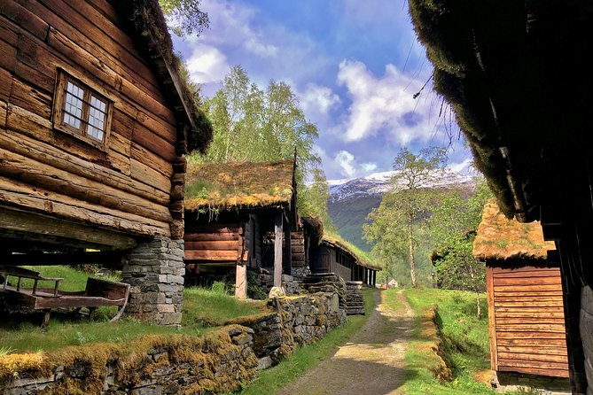 Norway: Voss and Gundvagen Private Tour  - Bergen - Accessibility and Infant Seating