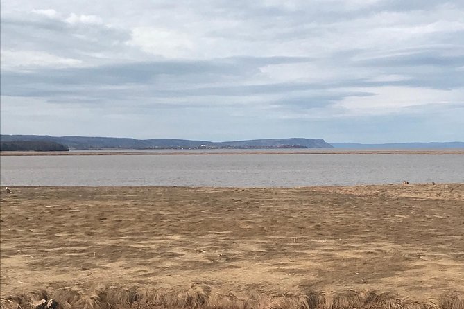Nova Scotia Day Tour - Visit Peggys Cove, Lunenburg, and the Annapolis Valley. - Traveler Feedback and Insights
